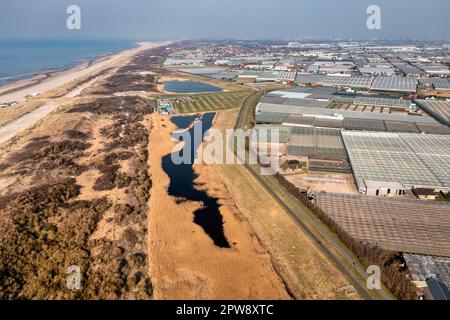 The Netherlands, Õs-Gravezande, Westland region. Horticulture in greenhouses. Dunes at North Sea coast. Aerial view. Stock Photo