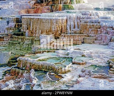 Minerva Terrace in  Mammoth Hot Springs, Yellowstone National Park Stock Photo