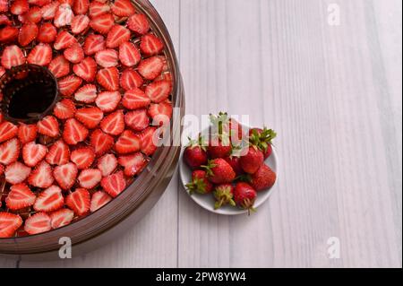 tray with strawberry slices into a food dehydrator machine Stock