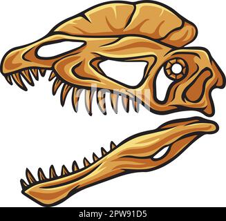 Dilophosaurus dinosaur skull fossil Stock Vector