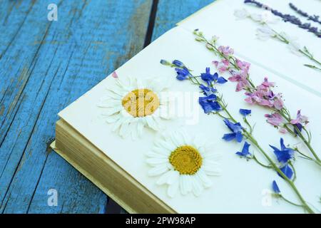 Book with beautiful dried flowers on blue wooden table, closeup Stock Photo