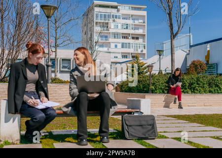 Front view shot of two businesswomen working together. Brunette businesswoman working alone on the tablet. They are sitting on a bench Stock Photo