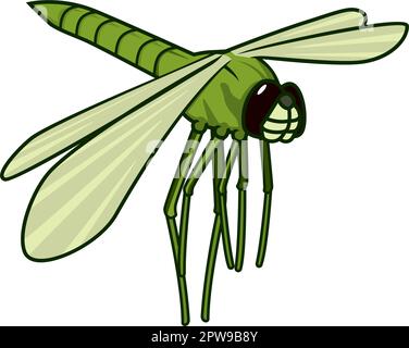 Detailed Flying Dragonfly with Green Color Illustration Stock Vector