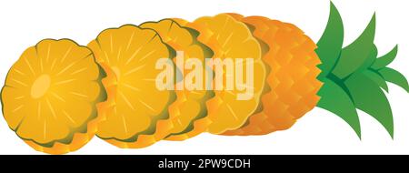 Detailed Pineapple with the Slices Illustration Stock Vector