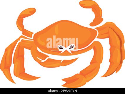 Detailed Bright Crab Illustration Stock Vector