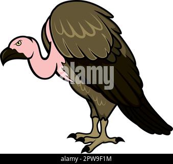 Detailed Vulture with Standing Gesture Illustration Stock Vector
