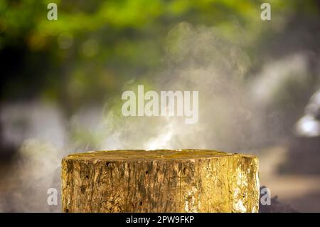 An old round wooden saw cut cylinder shape for product display with colorful bokeh abstract background Stock Photo
