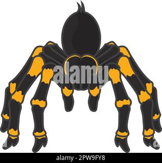 Detailed Spider with Standing Gesture Illustration Stock Vector