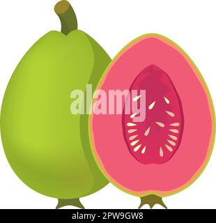 Detailed Guava Fruit Illustration Stock Vector