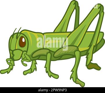 Detailed Standing Green Grasshopper Illustration Stock Vector