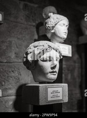 A carved stone marble Roman head dating from 2nd - 4th century AD depicting the god Apollo on display in Side Museum, Antalya Province, Turkey (Turkiy Stock Photo