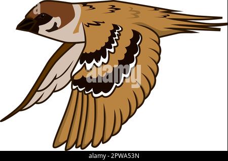 Detailed Flying Sparrow Illustration Stock Vector