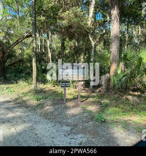 The drive through the forrest in Timucuan Ecological National Park in Jacksonville, Florida. Stock Photo