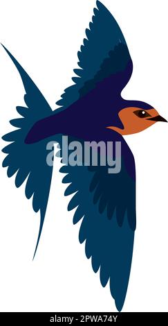 Detailed Flying Swallow Bird Illustration Stock Vector