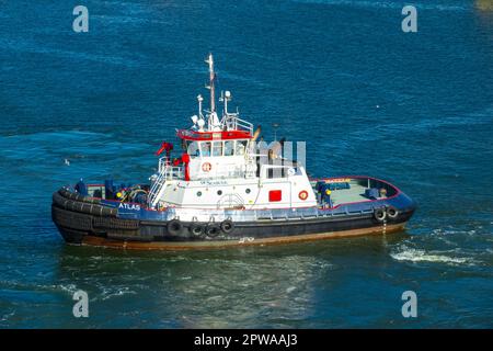 Tugboat named Atlas in Tampa bay Fllrida used for guiding cruise ships and other large cargo carrying boats and ships Stock Photo