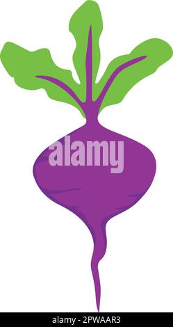 Simple and Creative Beetroot Vector Illustration Stock Vector