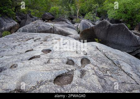 Fossilised dinosaur footprints at Granite Gorge Nature Park, Mareeba, Queensland, Australia Stock Photo