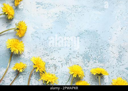 Beautiful dandelions on blue gunge background Stock Photo