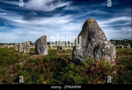 Ancient Stone Field Alignements De Menhir Carnac With Neolithic Megaliths In Brittany, France Stock Photo