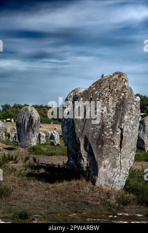 Ancient Stone Field Alignements De Menhir Carnac With Neolithic Megaliths In Brittany, France Stock Photo