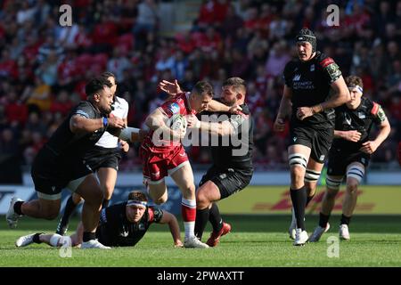 Llanelli, UK. 29th Apr, 2023. Gareth Davies of the Scarlets makes a break. European challenge cup rugby, semi final match, Scarlets v Glasgow Warriors at Parc y Scarlets in Llanelli, Wales on Saturday 29th April 2023. pic by Andrew Orchard/Andrew Orchard sports photography/Alamy Live news Credit: Andrew Orchard sports photography/Alamy Live News Stock Photo