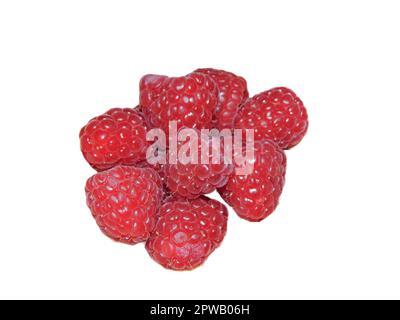 Raspberries isolated on white background Stock Photo
