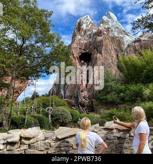 Orlando, FL USA - December 13, 2021:  The Everest roller coaster ride at Animal Kingdom in Disney World. Stock Photo