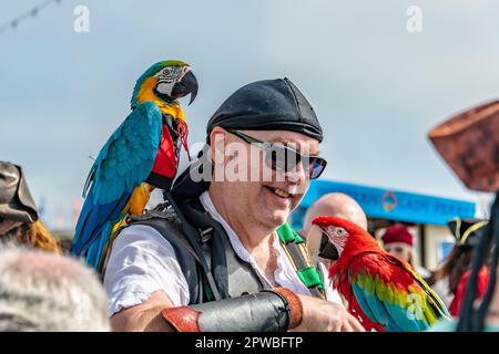 Brixham, UK. 29th Apr, 2023. Thousands of people, most dressed as pirates, enjoy the Brixham Pirate Festival on the Devon coast. Credit: Thomas Faull/Alamy Live News Stock Photo