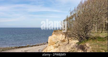 Erosion, sand and land erosion on the Baltic Sea beaches of Rügen and Usedom Stock Photo