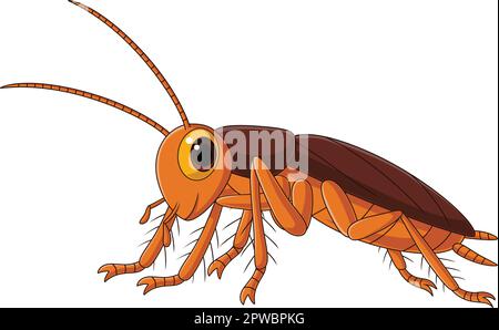 Cute cockroach cartoon on white background Stock Vector