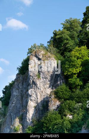 Close up of a large rock towering high against the blue sky. The background sky is blue. Trees and other green plants grow sideways on the rock. Stock Photo