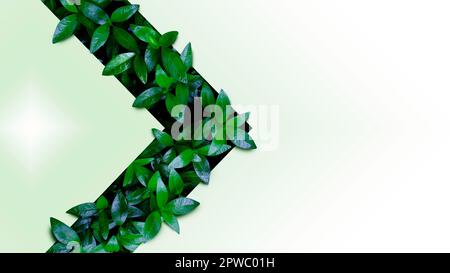 Green leaves texture in the form of an arrow. Mockup for natural and organic products. Natural design, background and wallpaper Stock Photo