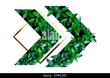 Green leaves texture in the form of an arrow. Mockup for natural and organic products. Natural design, background and wallpaper Stock Photo
