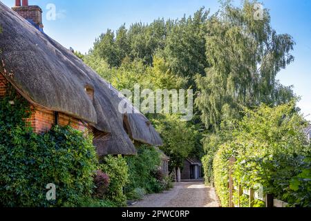 WINTERBOURNE EARLS, ENGLAND - AUGUST 6th, 2022: a traditional thatched house nestling in the vegetation, Wiltshire, South West England Stock Photo