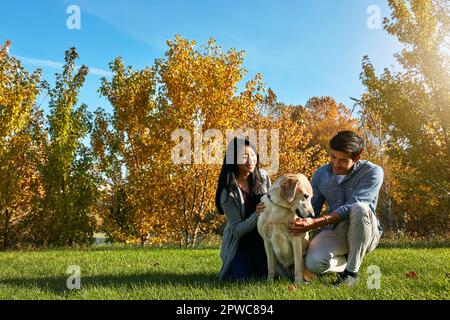 Giving him all the love he deserves. a loving young couple taking their dog for a walk through the park. Stock Photo