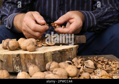 Man cracking walnuts with hammer at wooden table, closeup Stock Photo