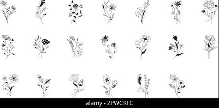 Meadow flowers and twigs, tree branches, summer grass herbs, vector set. Hand drawn doodle flowers, herbs, twigs botany collection. Dogwood, willow, clover, berries, olive branch, grass plants Stock Vector