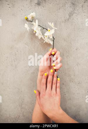 Top view of crop unrecognizable female with blooming flower demonstrating stylish neat manicure on concrete background Stock Photo