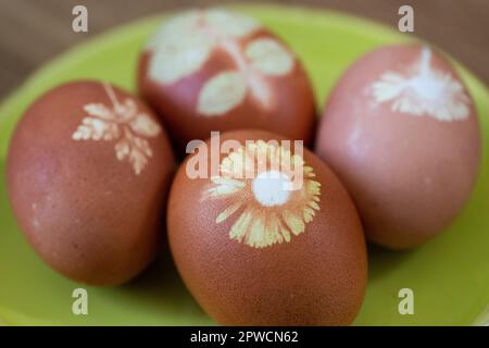 Four Easter eggs coloured with onion skins and flowers on a plate, flower print, Stuttgart, Baden-Wuerttemberg, Germany Stock Photo
