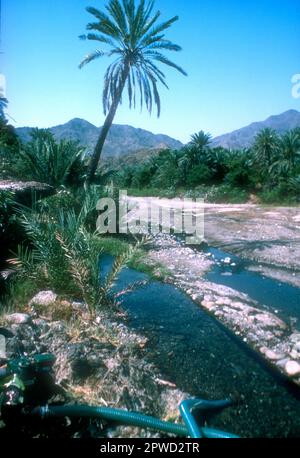 Spring Uae Spring water creek in Fujairah, eastern UAE Stock Photo - Alamy