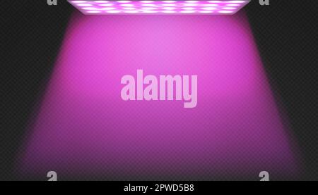 Led red and blue spectrum phytolamp for indoor plant growing. Pink uv light. Modern agro equipment for illumination in commercial greenhouse or home g Stock Vector