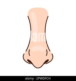 Pointy nose of person with thin nostrils cartoon illustration Stock Vector