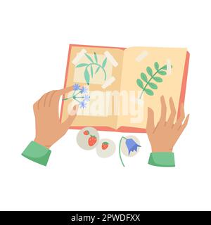 Hands of person with plants and scrapbook vector illustration Stock Vector