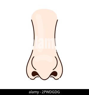 Slim nose of person with thin nostrils cartoon illustration Stock Vector