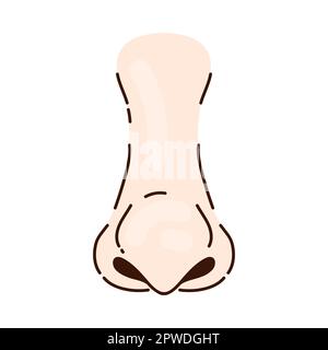 Thin nose of Caucasian person with big tip cartoon illustration Stock Vector