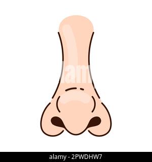 Nose of white person with big nostrils cartoon illustration Stock Vector