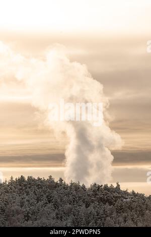 Steam rising from industry behind a forest Stock Photo - Alamy