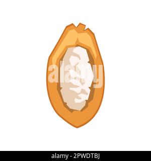 Open cacoa bean cartoon illustration Stock Vector