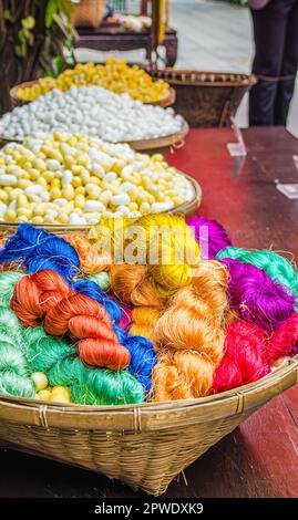 silk cocoon in its colorful splendor created by the silkworm by Jim Thomson house in Bangkok, Thailand Stock Photo
