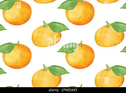 pattern seamless background Watercolor fresh whole orange fruit  hand drawing painted illustration isolated on white background Stock Vector